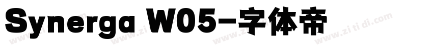 Synerga W05字体转换
